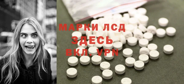 прущий лед Алзамай