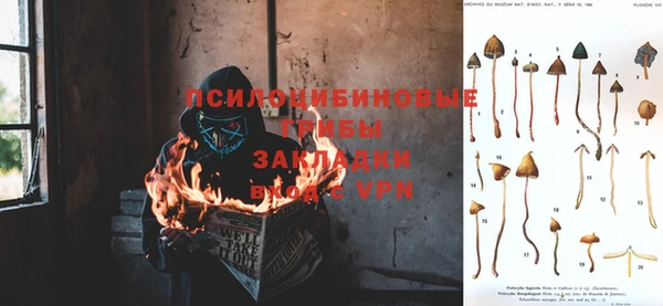 гашик Арсеньев