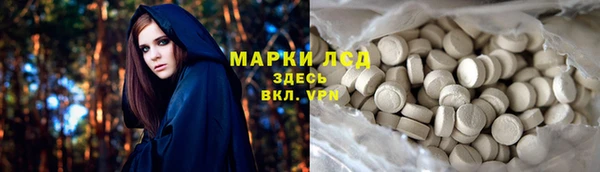 гашик Арсеньев