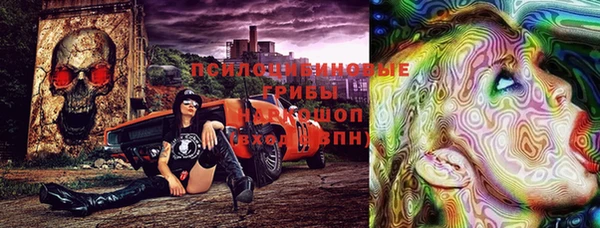 гашик Арсеньев