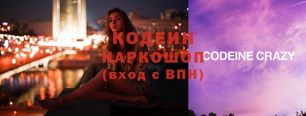 прущий лед Алзамай