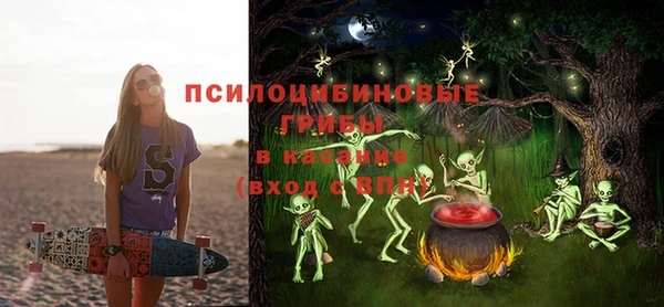 прущие грибы Алексеевка