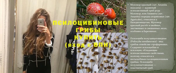гашик Арсеньев