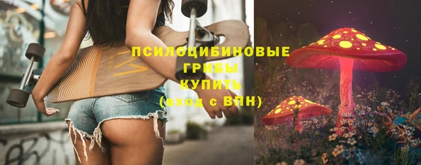 прущий лед Алзамай