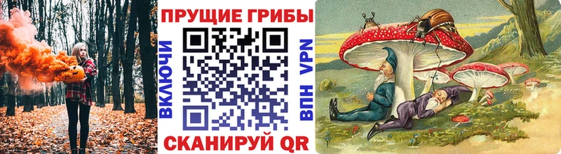 Галлюциногенные грибы мухоморы  Себеж 